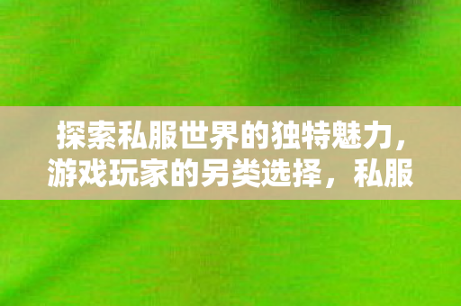 探索私服世界的独特魅力，游戏玩家的另类选择，私服世界的独特魅力，游戏玩家的另类选择
