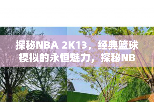 探秘NBA 2K13,经典篮球模拟的永恒魅力,探秘NBA 2K13,经典篮球模拟的永恒魅力 探秘NBA 2K13,经典篮球模拟的永恒魅力,探秘NBA 2K13,经典篮球模拟的永恒魅力