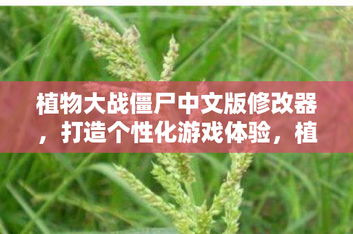 植物大战僵尸中文版修改器图片