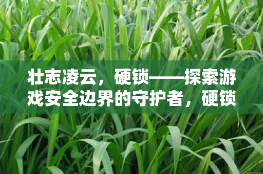 壮志凌云,硬锁——探索游戏安全边界的守护者,硬锁,游戏安全边界的守护者 壮志凌云,硬锁——探索游戏安全边界的守护者,硬锁,游戏安全边界的守护者