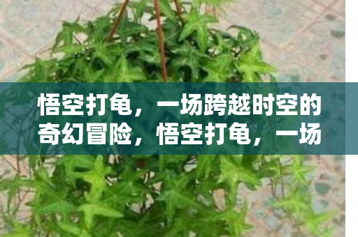 悟空打龟,一场跨越时空的奇幻冒险,悟空打龟,一场跨越时空的奇幻冒险之旅 悟空打龟,一场跨越时空的奇幻冒险,悟空打龟,一场跨越时空的奇幻冒险之旅