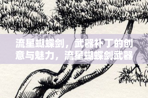 流星蝴蝶剑,武器补丁的创意与魅力,流星蝴蝶剑武器补丁,创意与魅力的展现 流星蝴蝶剑,武器补丁的创意与魅力,流星蝴蝶剑武器补丁,创意与魅力的展现