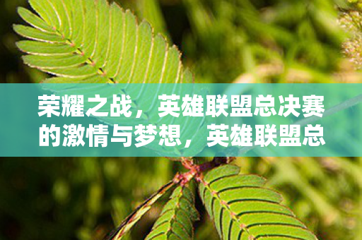 荣耀之战,英雄联盟总决赛的激情与梦想,英雄联盟总决赛,荣耀之战,激情与梦想的碰撞 荣耀之战,英雄联盟总决赛的激情与梦想,英雄联盟总决赛,荣耀之战,激情与梦想的碰撞