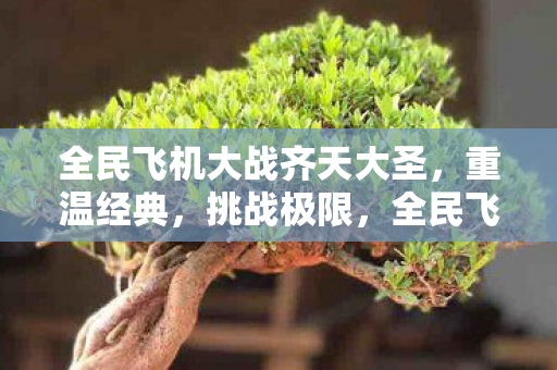 全民飞机大战齐天大圣,重温经典,挑战极限,全民飞机大战,重温经典,挑战极限,齐天大圣等你来战! 全民飞机大战齐天大圣,重温经典,挑战极限,全民飞机大战,重温经典,挑战极限,齐天大圣等你来战!