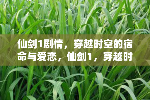 穿越时空的宿命与爱恋图片