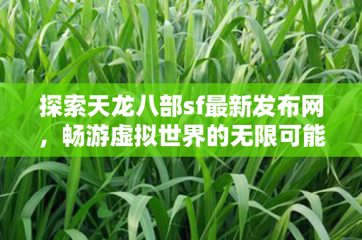 探索天龙八部sf最新发布网图片