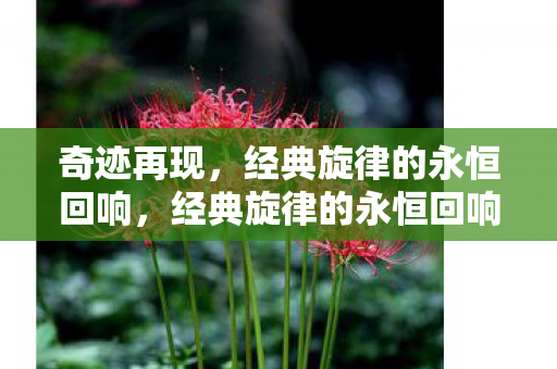 奇迹再现,经典旋律的永恒回响,经典旋律的永恒回响,奇迹再现 奇迹再现,经典旋律的永恒回响,经典旋律的永恒回响,奇迹再现
