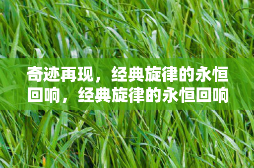 经典旋律的永恒回响图片