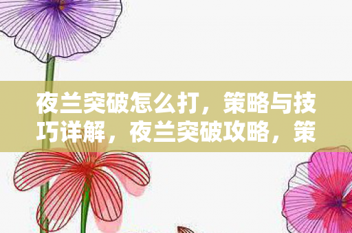 夜兰突破怎么打，策略与技巧详解，夜兰突破攻略，策略与技巧全解析