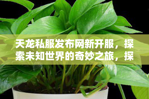 探索未知世界的奇妙之旅图片