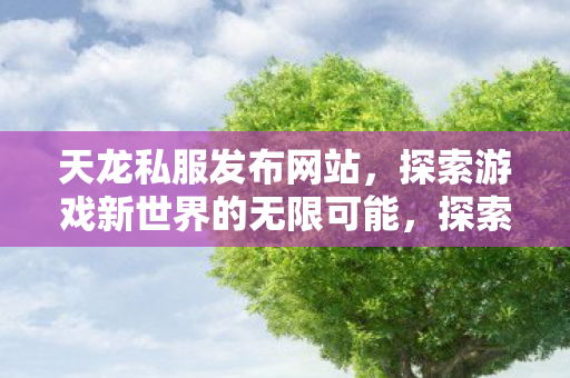 天龙私服发布网站引领游戏新世界图片