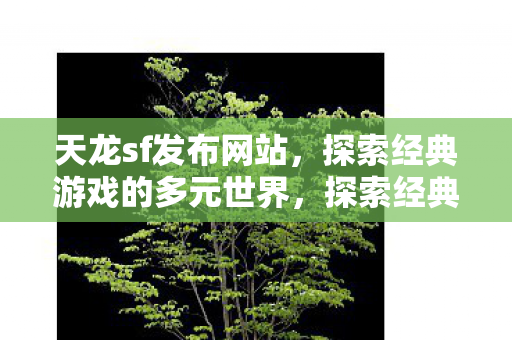 探索经典游戏的多元世界图片
