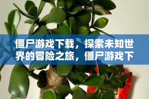 探索未知世界的冒险之旅图片