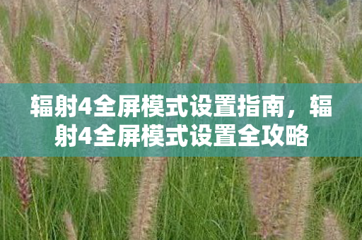 辐射4全屏模式设置指南,辐射4全屏模式设置全攻略 辐射4全屏模式设置指南,辐射4全屏模式设置全攻略