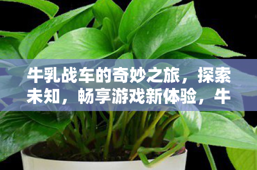 牛乳战车的奇妙之旅图片