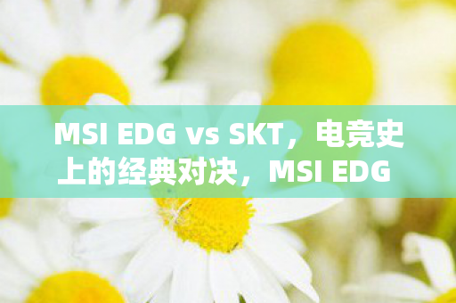 MSI EDG vs SKT图片