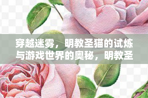 明教圣猫的试炼与游戏世界的奥秘图片