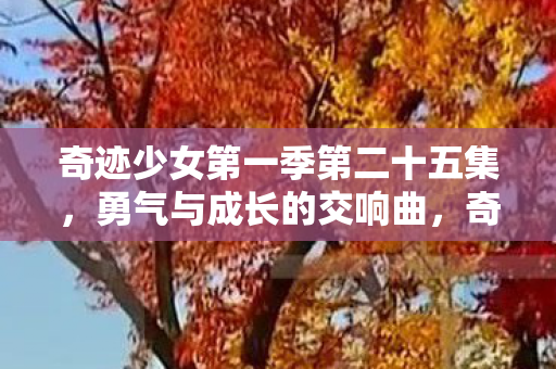 奇迹少女第一季第二十五集图片