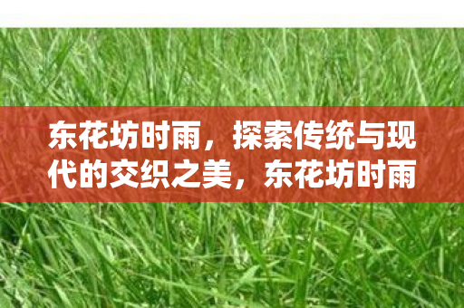 探索传统与现代的交织之美图片