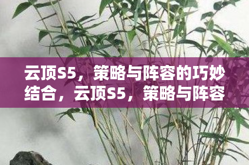 策略与阵容的巧妙结合图片