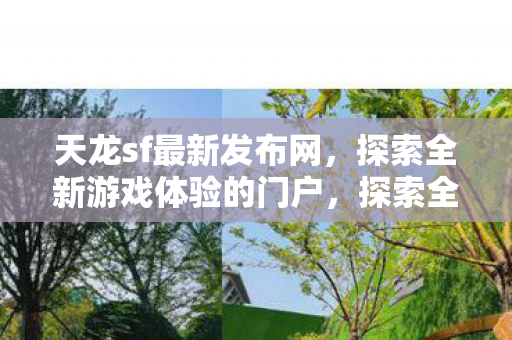 探索全新游戏体验的门户图片