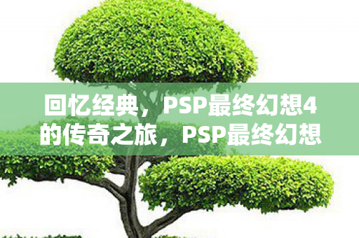 PSP最终幻想4的传奇之旅图片