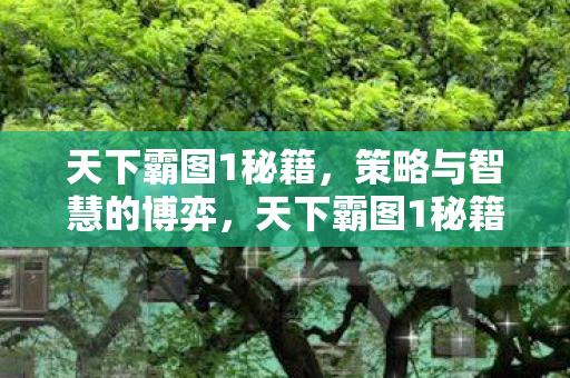 天下霸图1秘籍,策略与智慧的博弈,天下霸图1秘籍,策略与智慧的博弈 天下霸图1秘籍,策略与智慧的博弈,天下霸图1秘籍,策略与智慧的博弈