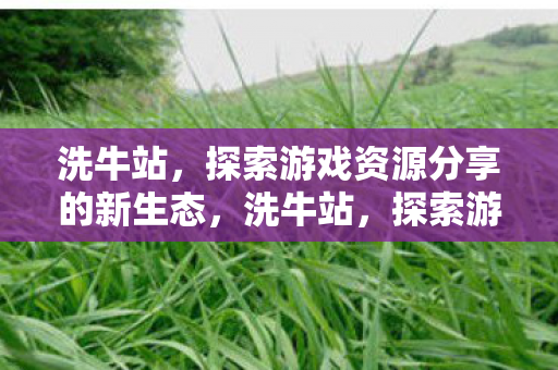 洗牛站,探索游戏资源分享的新生态,洗牛站,探索游戏资源分享的新生态 洗牛站,探索游戏资源分享的新生态,洗牛站,探索游戏资源分享的新生态
