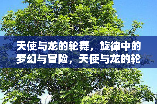 天使与龙的轮舞,旋律中的梦幻与冒险,天使与龙的轮舞,梦幻冒险的旋律 天使与龙的轮舞,旋律中的梦幻与冒险,天使与龙的轮舞,梦幻冒险的旋律