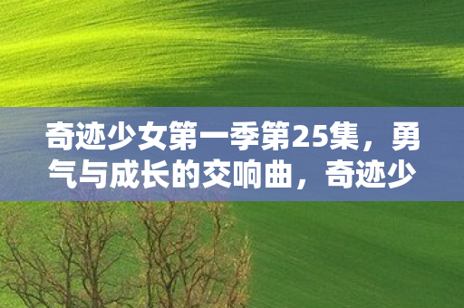奇迹少女第一季第25集图片
