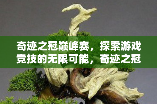 奇迹之冠巅峰赛,探索游戏竞技的无限可能,奇迹之冠巅峰赛,探索游戏竞技的无限可能 奇迹之冠巅峰赛,探索游戏竞技的无限可能,奇迹之冠巅峰赛,探索游戏竞技的无限可能