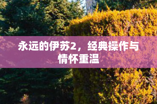 经典操作与情怀重温图片