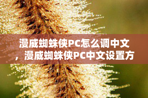 漫威蜘蛛侠PC中文设置方法图片