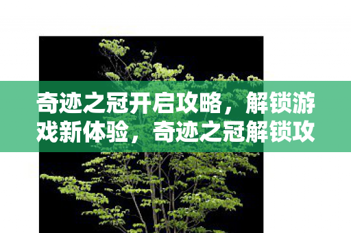 奇迹之冠开启攻略图片