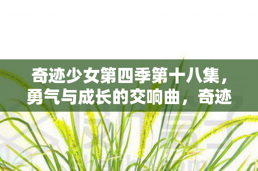 奇迹少女第四季第十八集图片