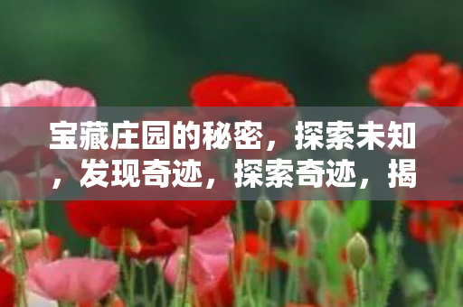 宝藏庄园的秘密,探索未知,发现奇迹,探索奇迹,揭秘宝藏庄园的未知之谜 宝藏庄园的秘密,探索未知,发现奇迹,探索奇迹,揭秘宝藏庄园的未知之谜