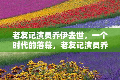 老友记演员乔伊去世图片