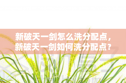 新破天一剑怎么洗分配点,新破天一剑如何洗分配点? 新破天一剑怎么洗分配点,新破天一剑如何洗分配点?