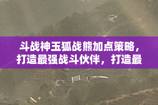斗战神玉狐战熊加点策略图片