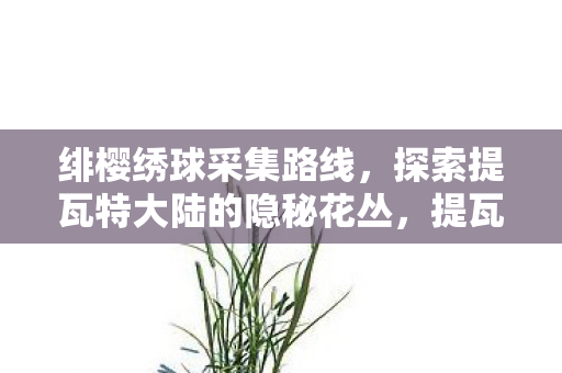 探索提瓦特大陆的隐秘花丛图片