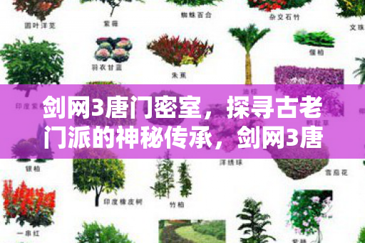 剑网3唐门密室,探寻古老门派的神秘传承,剑网3唐门密室,探寻古老门派的神秘传承 剑网3唐门密室,探寻古老门派的神秘传承,剑网3唐门密室,探寻古老门派的神秘传承