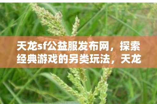 探索经典游戏的另类玩法图片