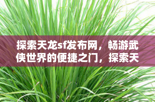 畅游武侠世界的便捷之门图片