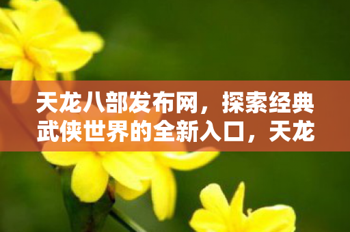 探索经典武侠世界的全新入口图片