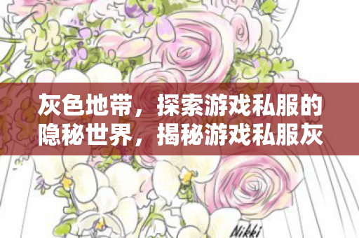 揭秘游戏私服灰色地带的隐秘世界图片