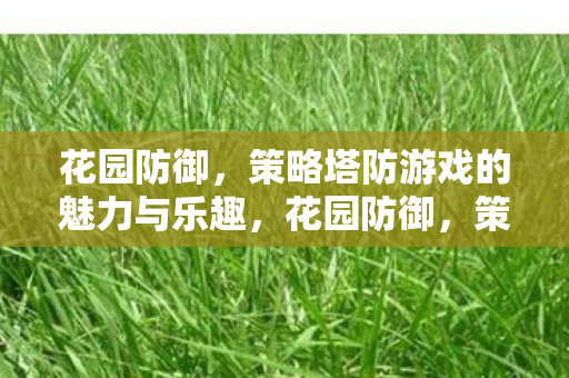 策略塔防游戏的魅力与乐趣图片