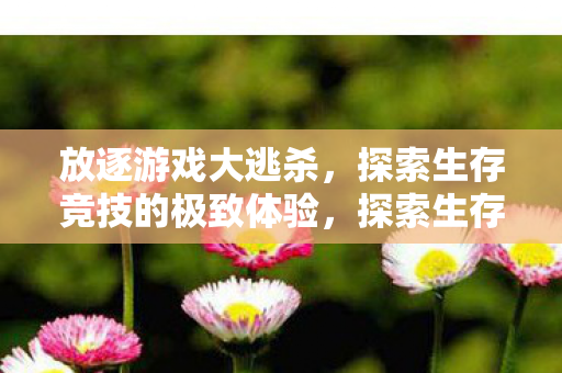 放逐游戏大逃杀，探索生存竞技的极致体验，探索生存竞技的极致体验，放逐游戏大逃杀
