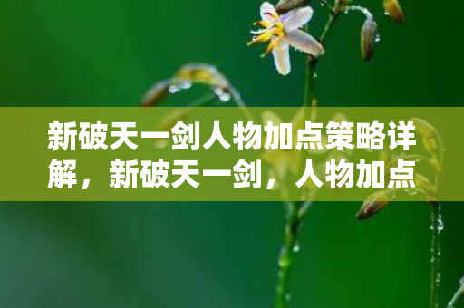 新破天一剑人物加点策略详解,新破天一剑,人物加点策略全解析 新破天一剑人物加点策略详解,新破天一剑,人物加点策略全解析