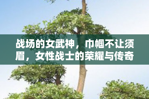 战场的女武神,巾帼不让须眉,女性战士的荣耀与传奇,巾帼不让须眉,战场女武神,荣耀与传奇 战场的女武神,巾帼不让须眉,女性战士的荣耀与传奇,巾帼不让须眉,战场女武神,荣耀与传奇