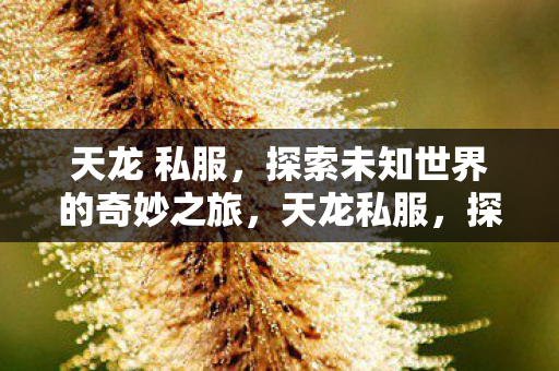 探索未知世界的奇妙冒险之旅图片